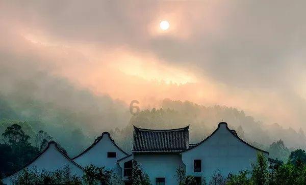 镜之边缘：催化剂